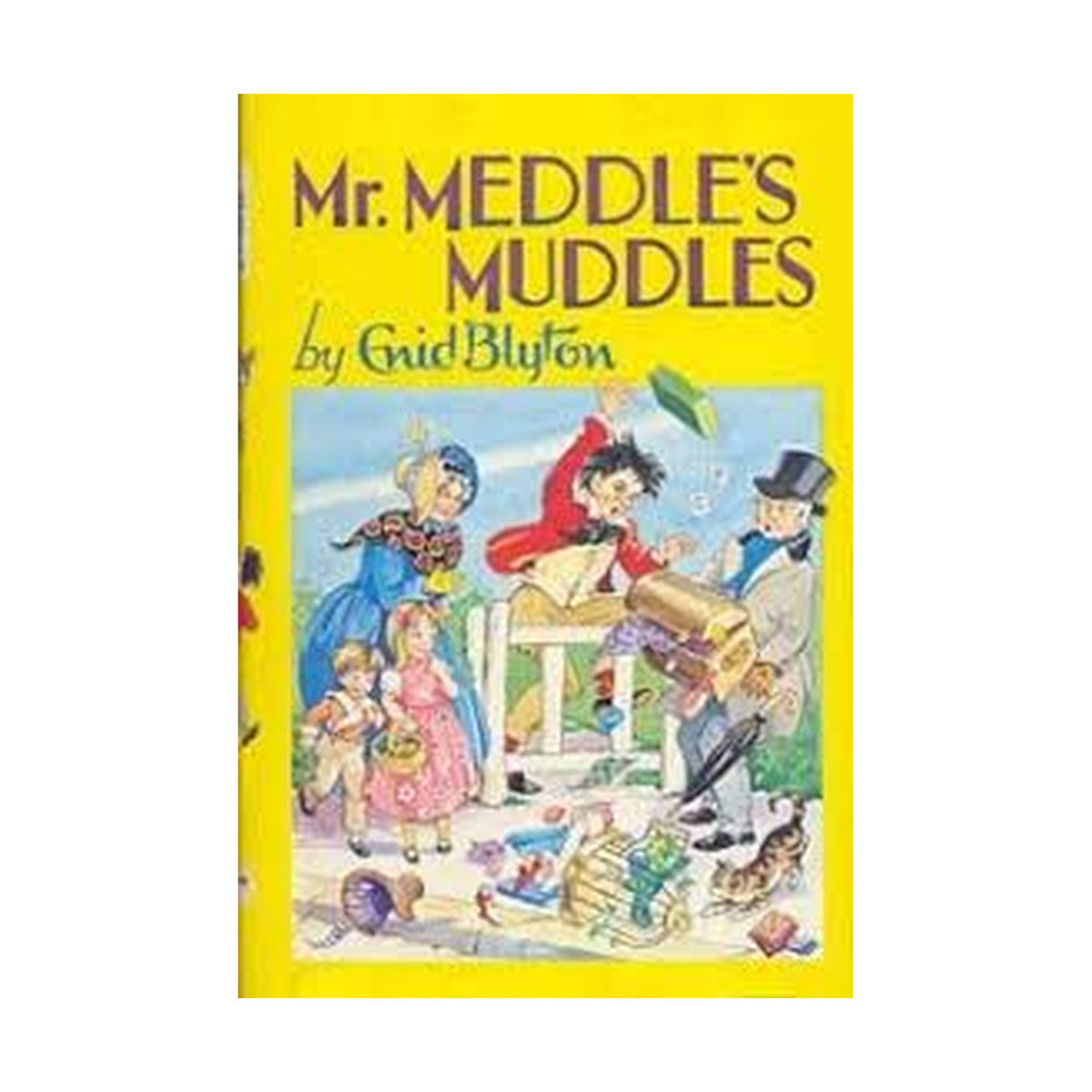Mr. Meddle's Muddles