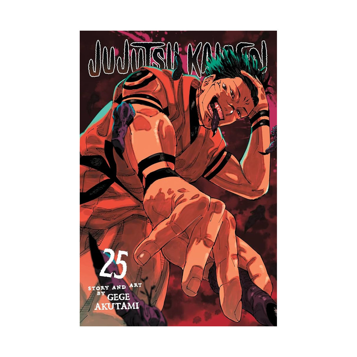 Jujutsu Kaisen Vol. 25: To You, Someday
