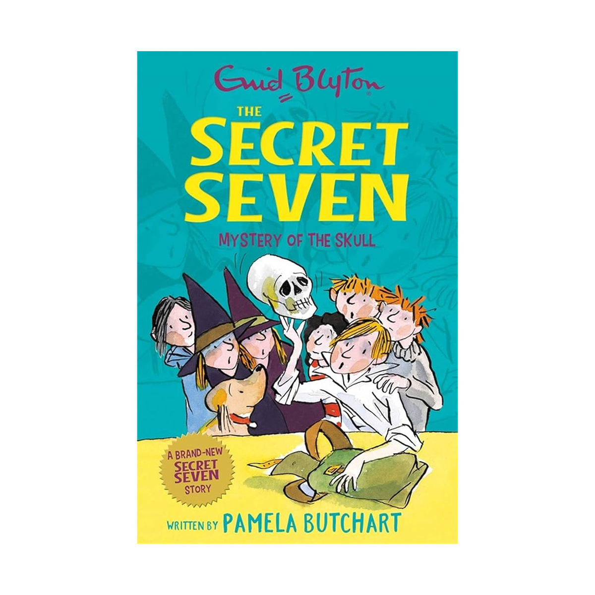 Cover page of Secret Seven - Mystery of the Skull