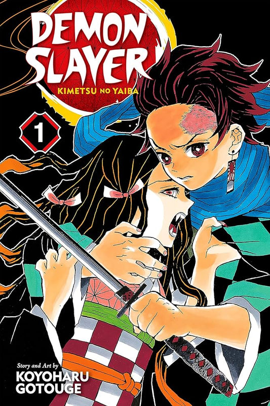 Demon Slayer - Volume 1
