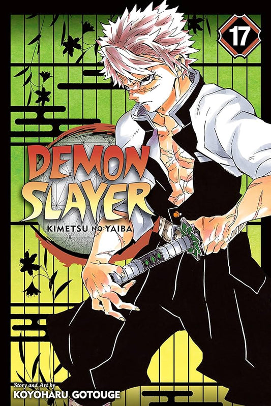 Demon Slayer - Volume 17
