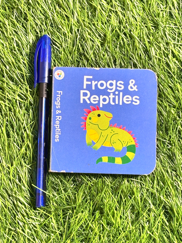 Frogs & Reptiles