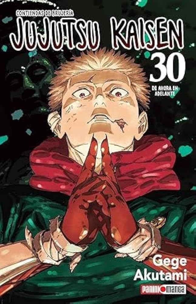 Jujutsu Kaisen Vol. 30: Never Look Back