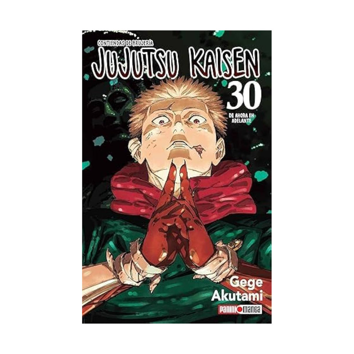 Jujutsu Kaisen Vol. 30: Never Look Back