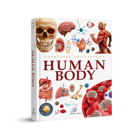 Knowledge Encyclopedia: Human Body
