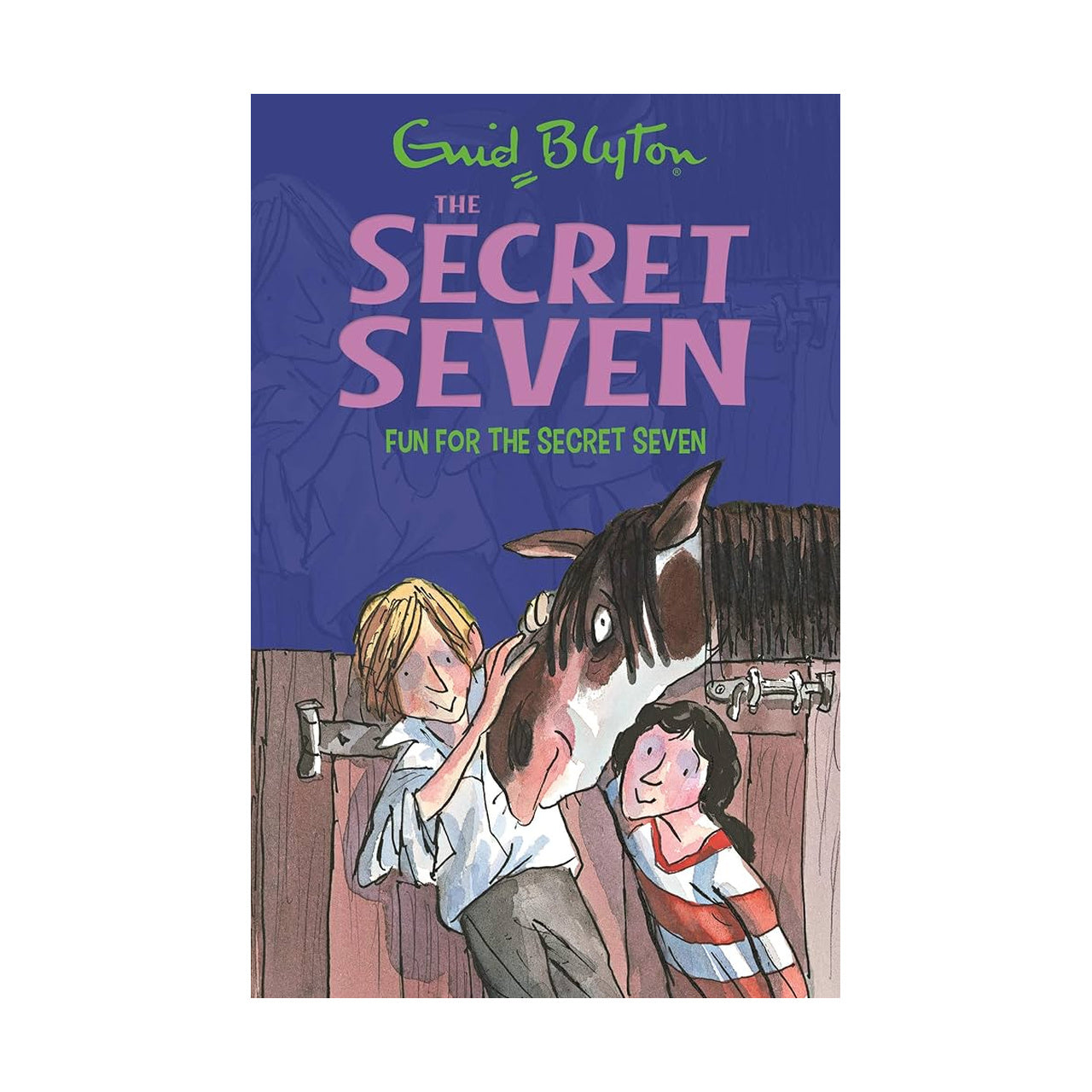Cover page of Secret Seven - Fun for the Secret Seven