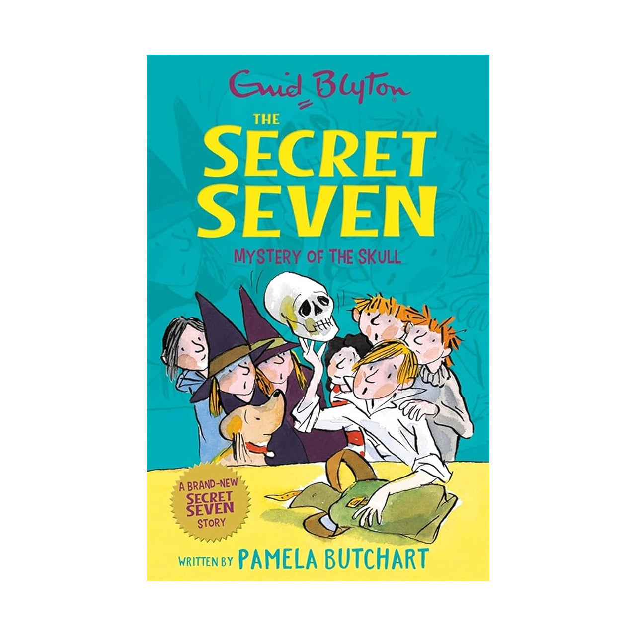 Cover page of Secret Seven - Mystery of the Skull