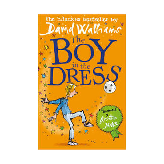 Cover page of The boy in the dress