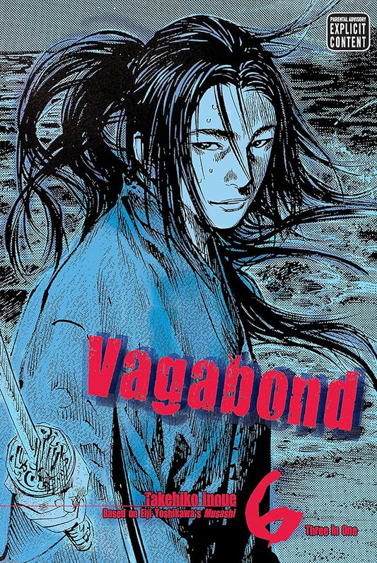 Vagabond Vol. 6